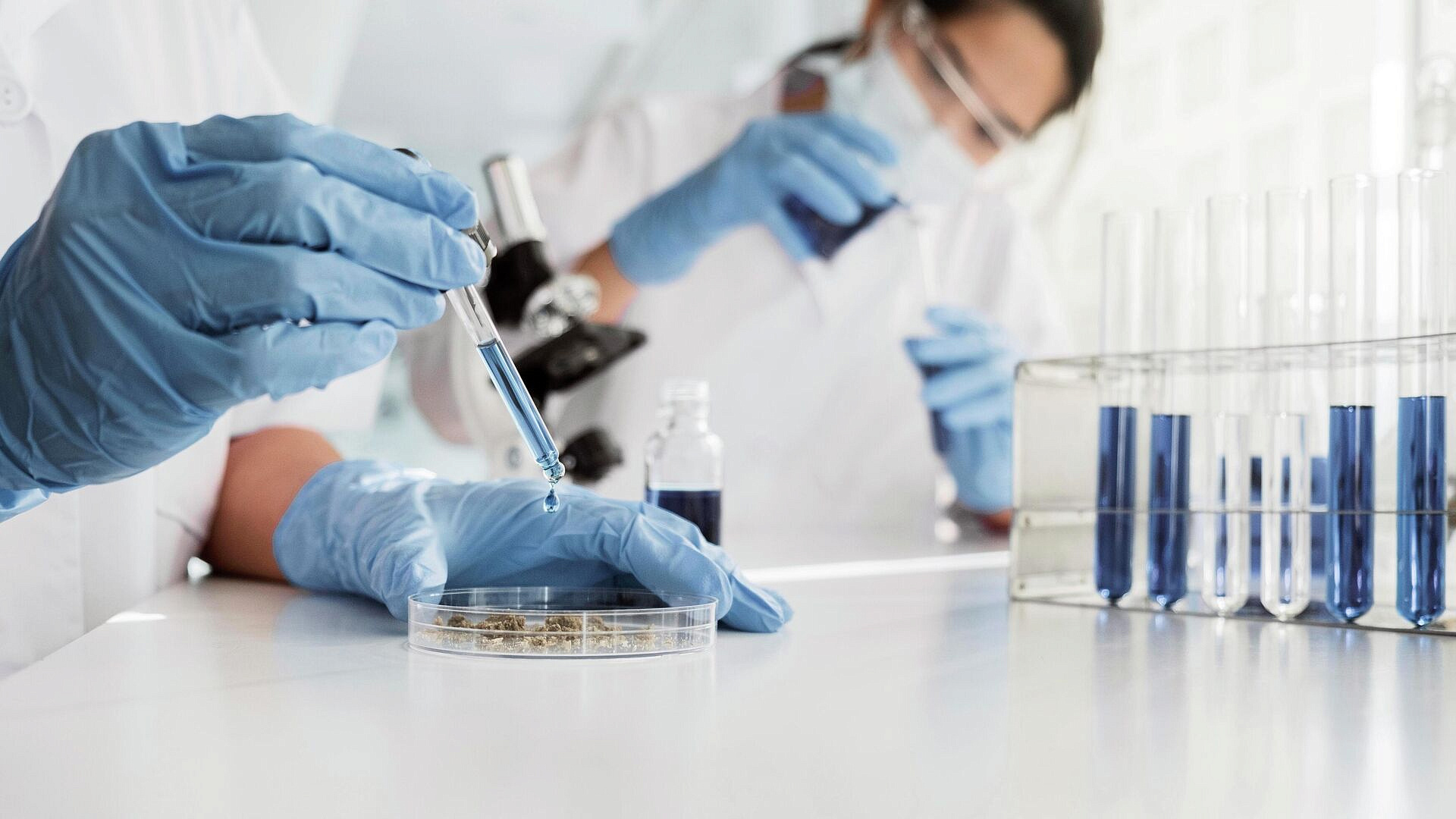 Опрос показал, как россияне оценивают положение ученых в обществе