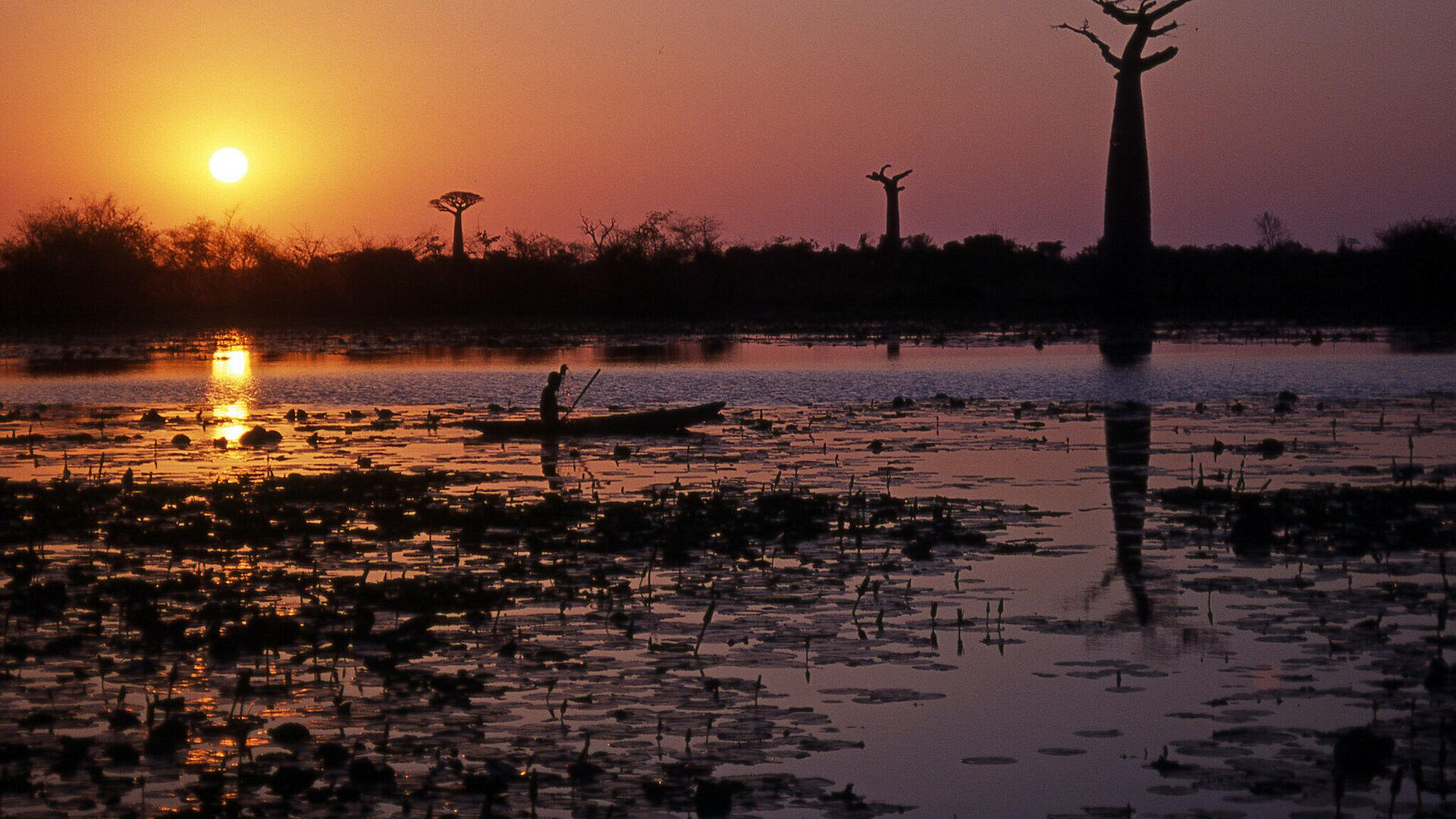 Президент Мадагаскара выразил желание развивать отношения с Россией