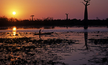 Президент Мадагаскара выразил желание развивать отношения с Россией