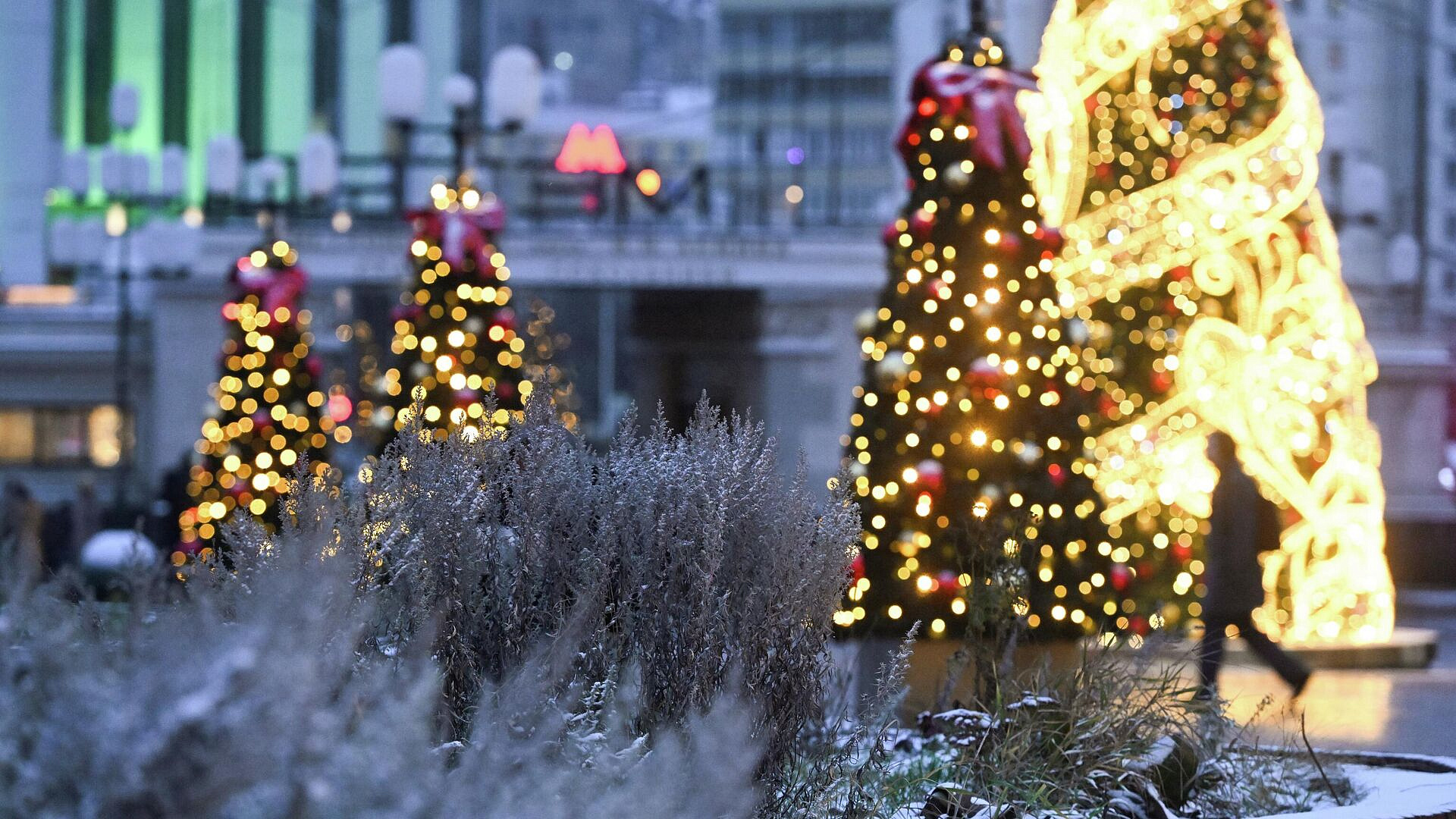 ������ ���������� � ���������� ���������� �� ������ ��� �������� ���������