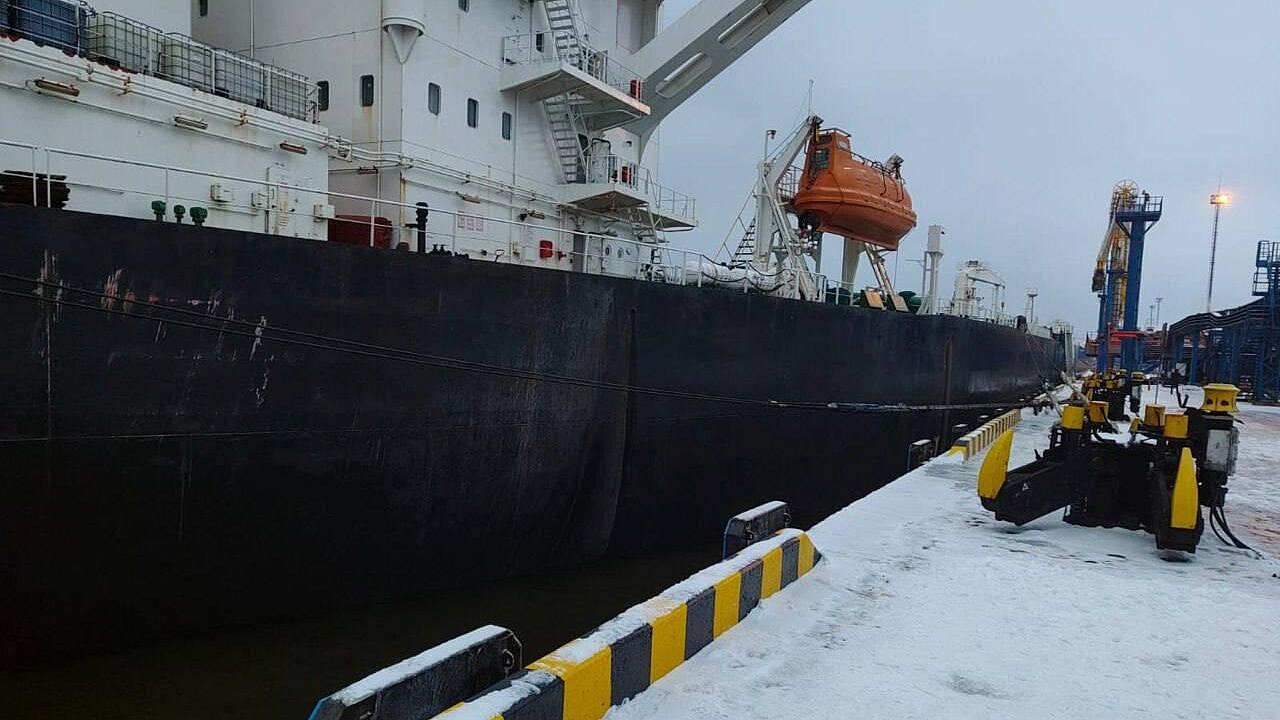 ������������ ������� Koala ������� ������ ����� �� ����� ����-����