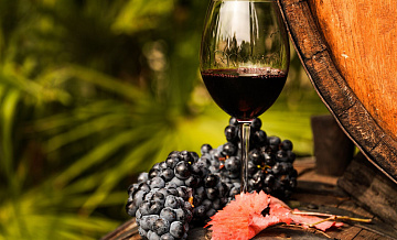 Франция и Польша вернулись в число крупнейших поставщиков вина в Россию