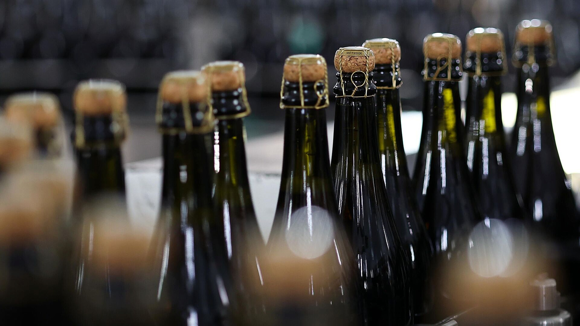 В Госдуме одобрили поправки о снижении акцизов на шампанское