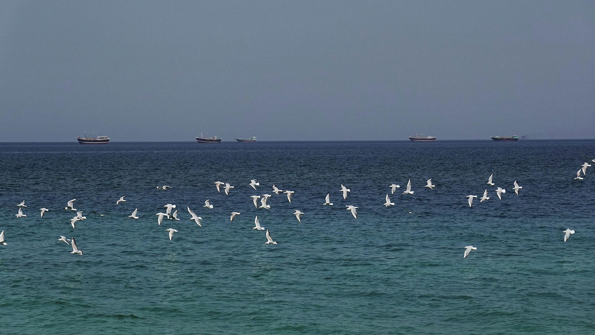 Нелепые заявления руководства США не откроют Ормузский пролив, завил КСИР