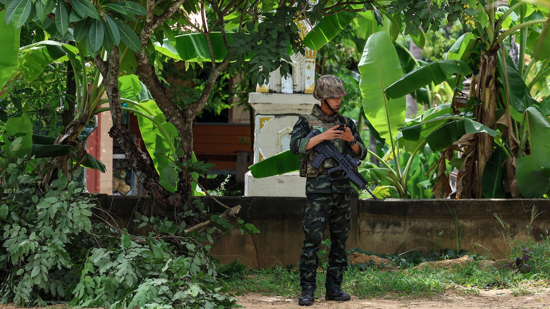 �������� �� ���������� � ���� ��������� �������� � ��������, ������ �����