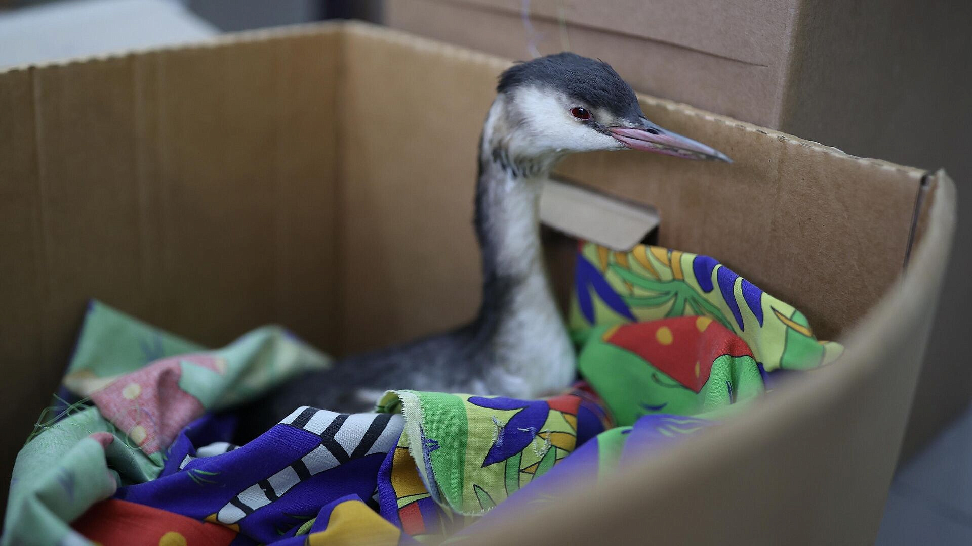 ������� ��������� �� ����������� ������� � ������ �������� ���� � �����