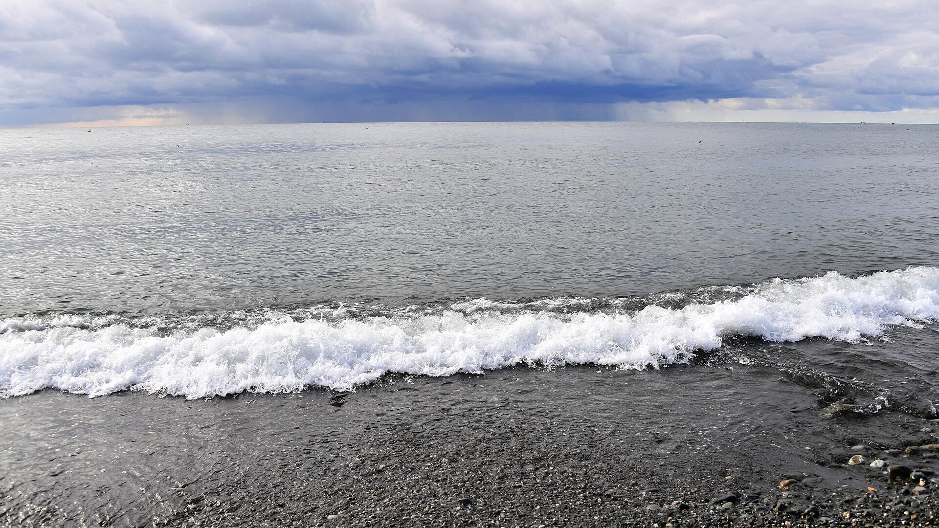 Роспотребнадзор опроверг слухи о превышении токсичных веществ в Черном море