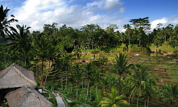 На Бали нашли расчлененное тело, которое может принадлежать украинцу