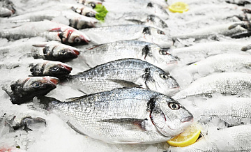 Ученые создали систему для выявления рыбы "второй свежести"