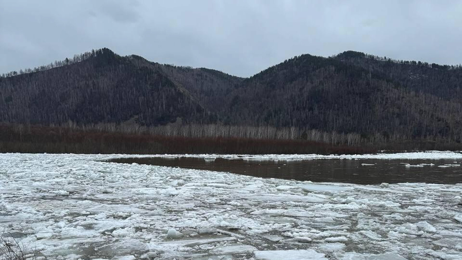 Число подтопленных дачных участков в Абазе в Хакасии снизилось до 110