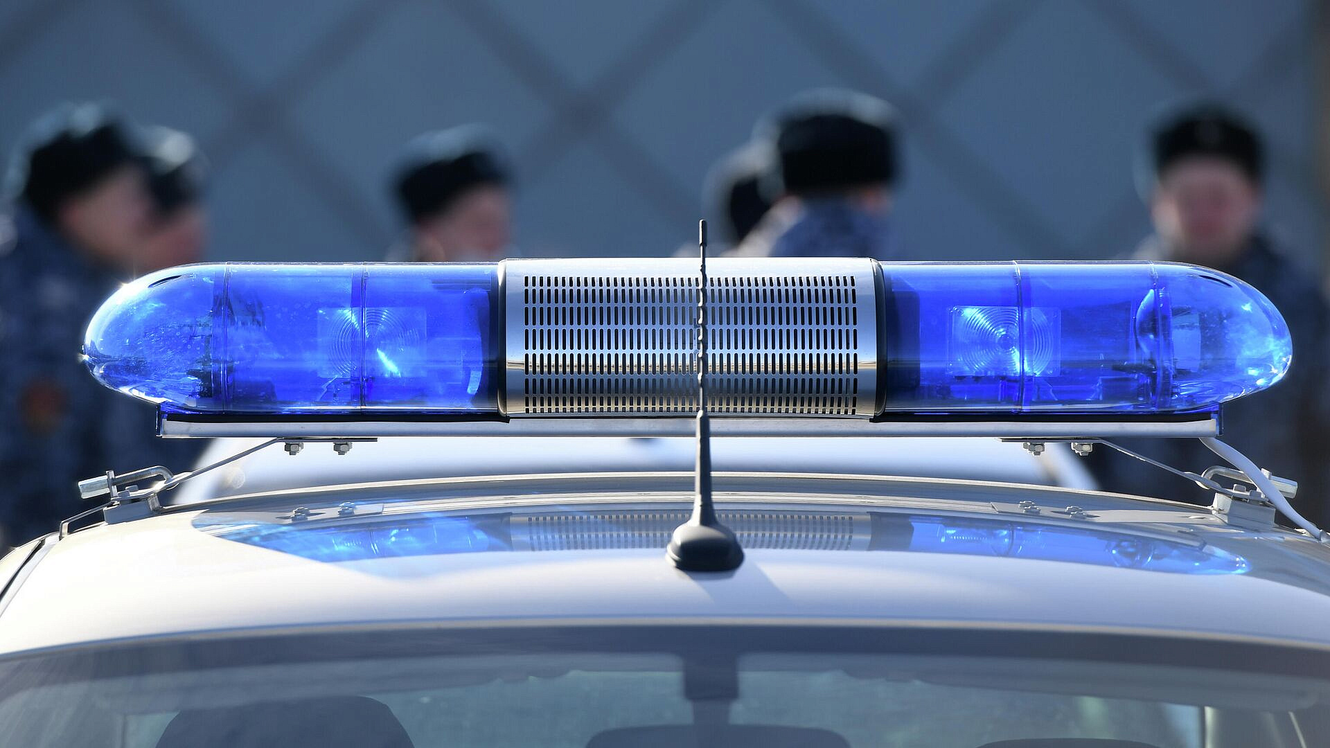 � ��������� ����� ������� � ��� � ������������ "�������"