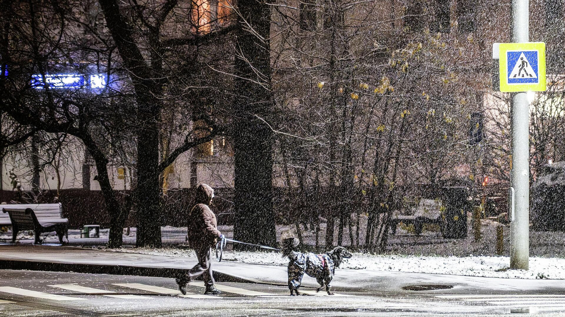 ����������� ���� ����� � ������