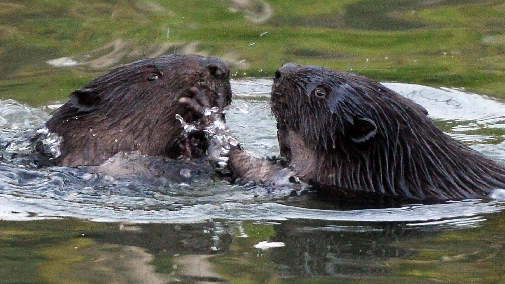 � ������� � ���������� ����� �������� ������