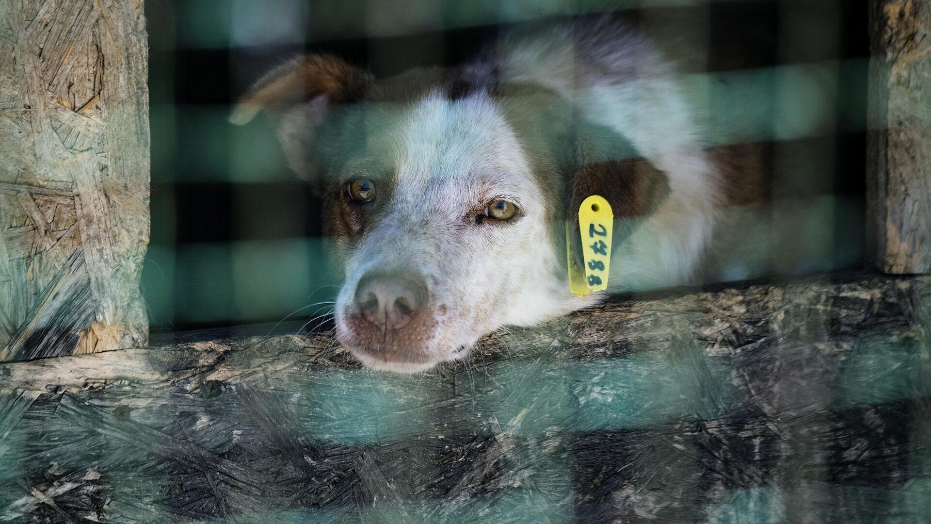 ������� ����������� ����� ����� �� ����� ��� �������� ��� ����������