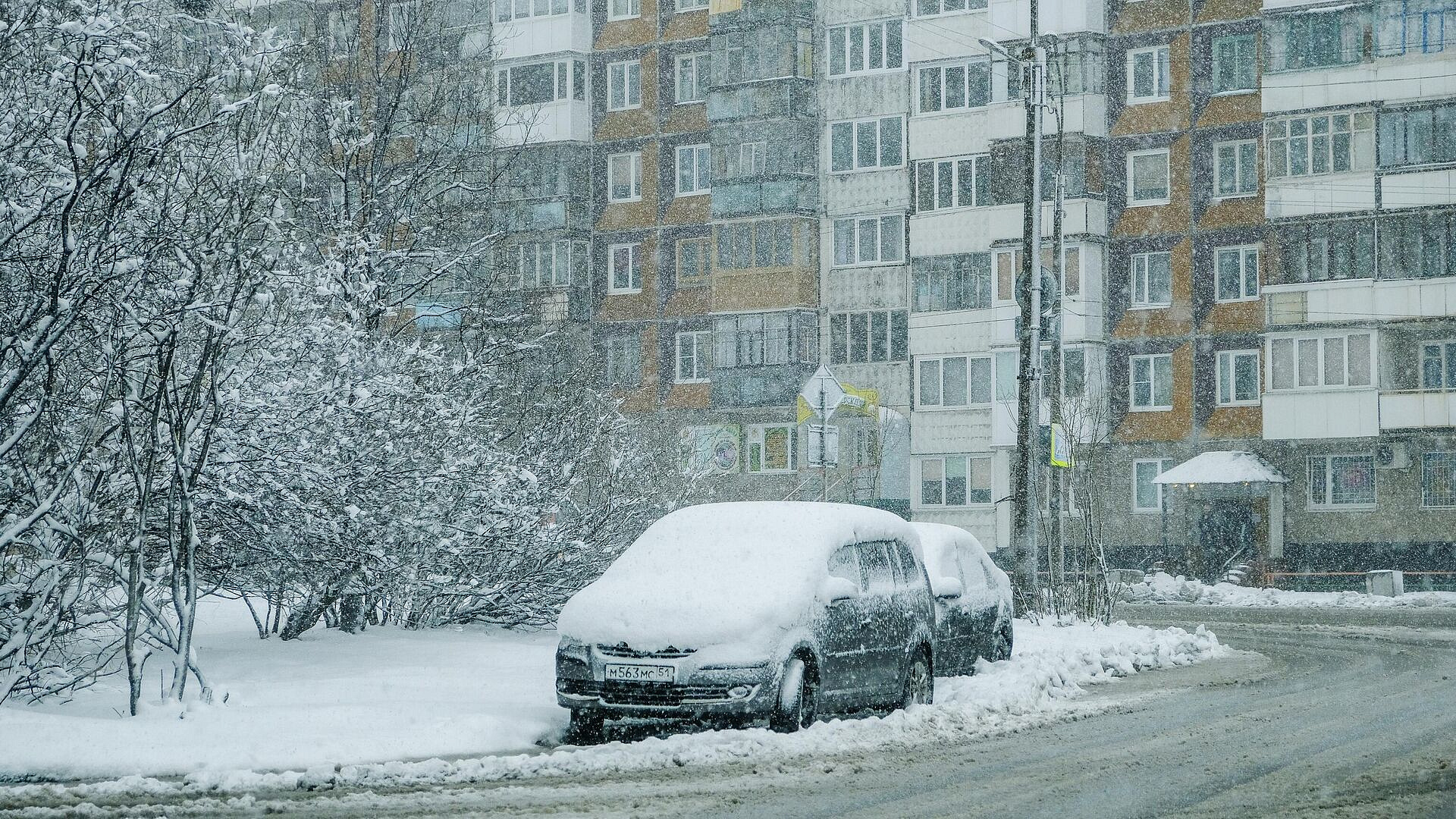 Мурманск накрыла сильная метель