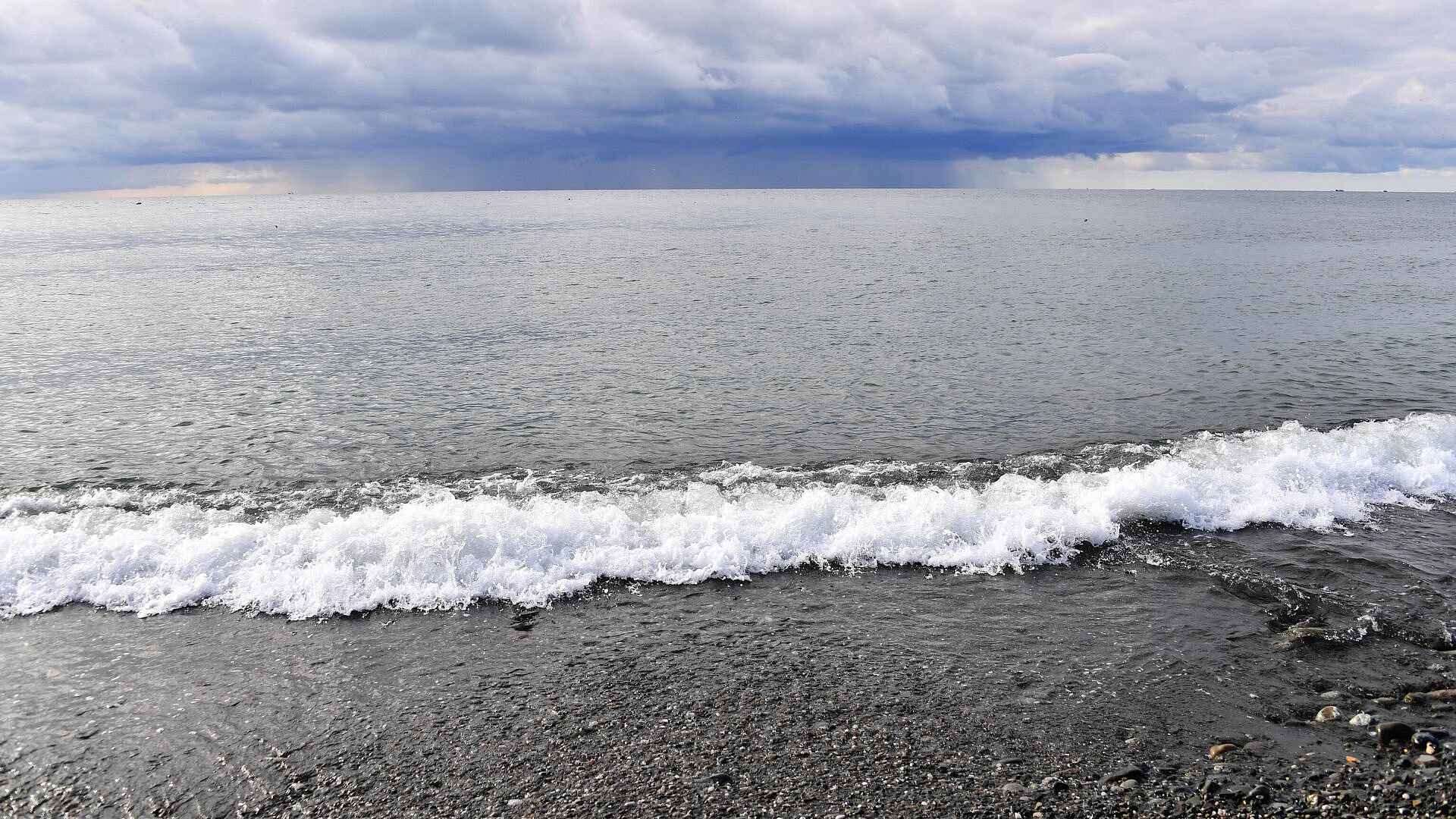 Роспотребнадзор контролирует черноморское побережье России, заявила Попова