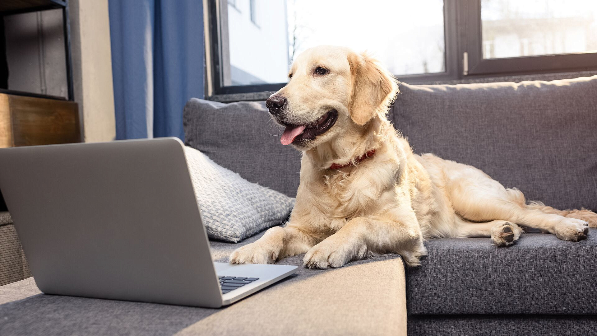 ���������� ����� � ����������� ������� ���������������� ����� ��������