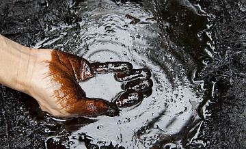 В ВятГУ вывели бактерии для устранения техногенных катастроф