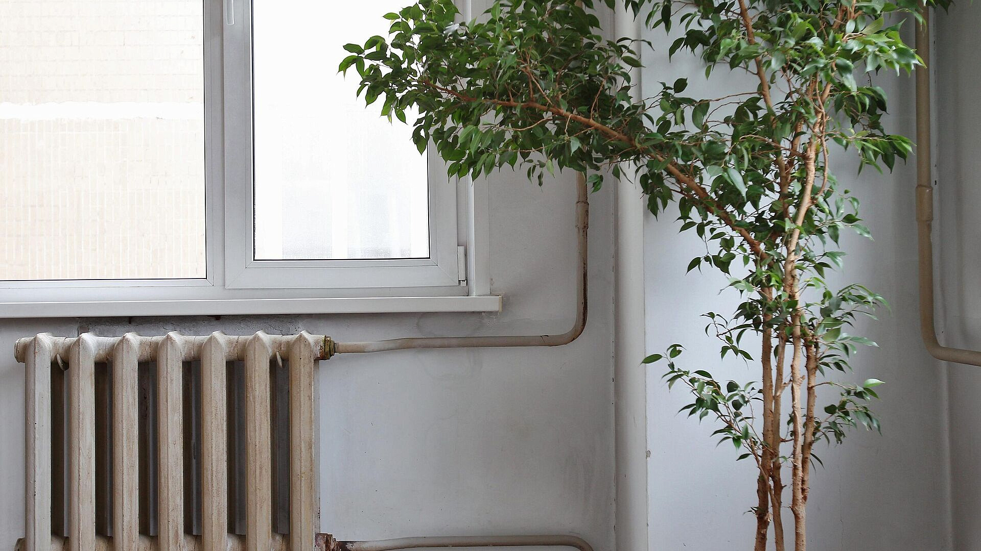 Пять муниципальных образованиях Брянской области остались без тепла