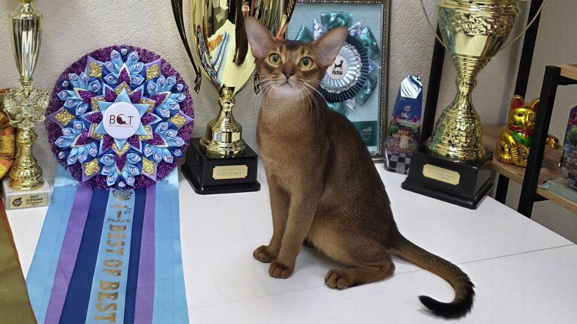 ��������� ������ ��������� � ���� ���� ���������� � ��� ���������