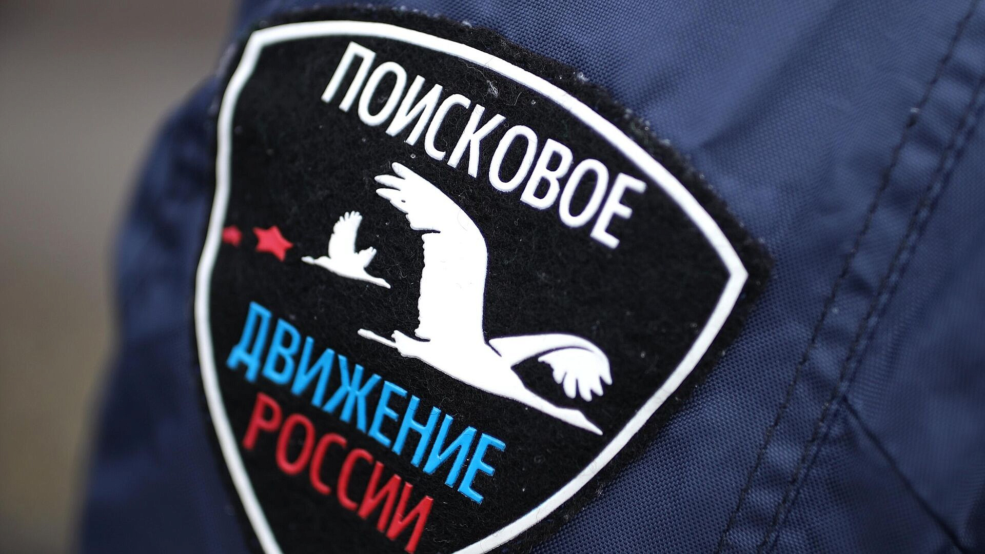 В Ленинградской области нашли захоронение убитых фашистами в 1941 году
