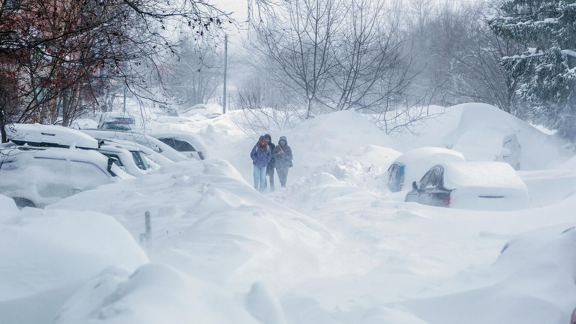 Метеоролог допустил аномально холодную зиму в ближайшие годы