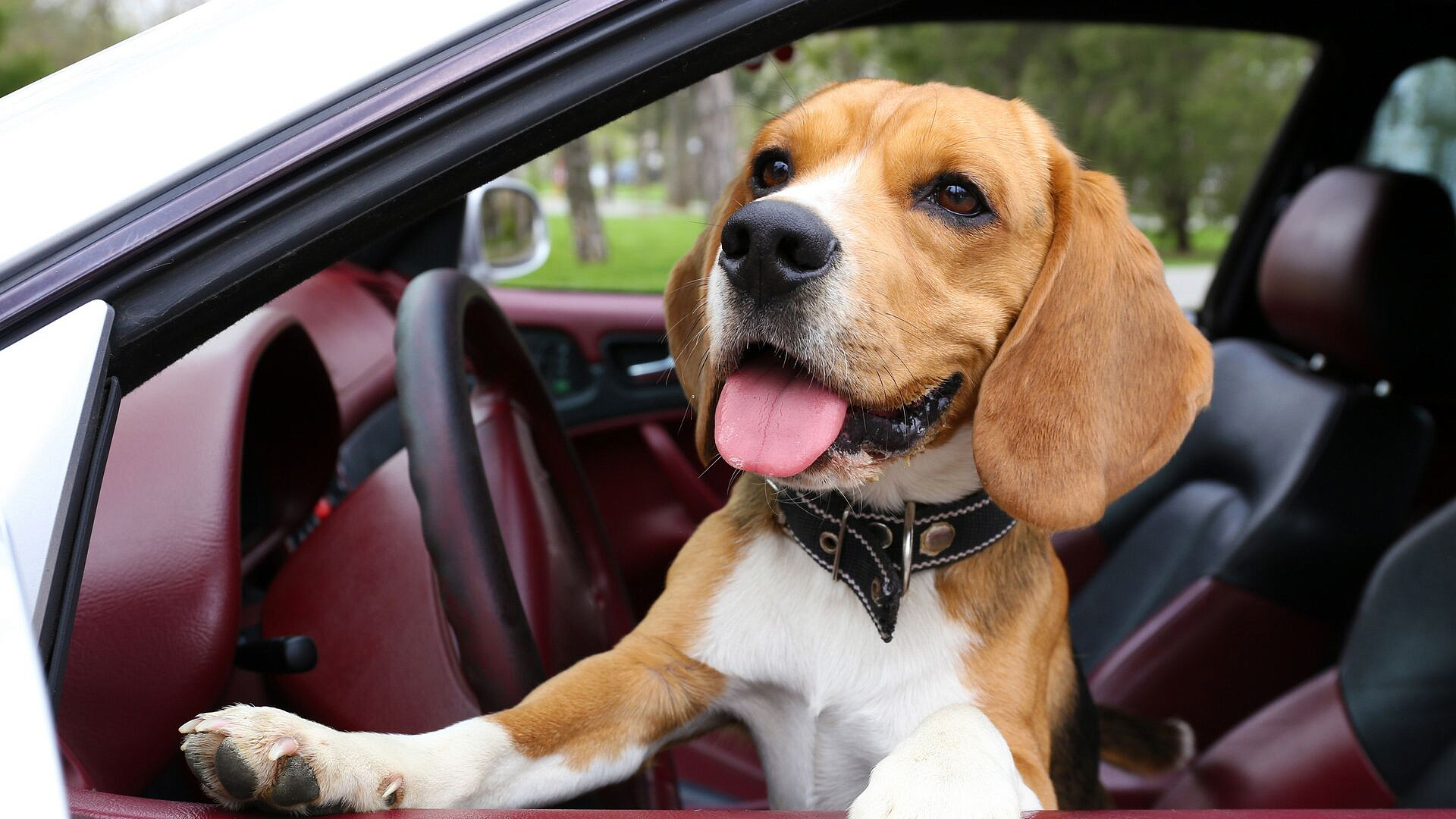 ������� ���������, ��� ������� ���, ����� ������ �� ��������� � ������