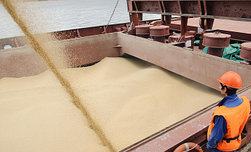 Мишустин назвал объем российской продовольственной помощи для Африки и Азии