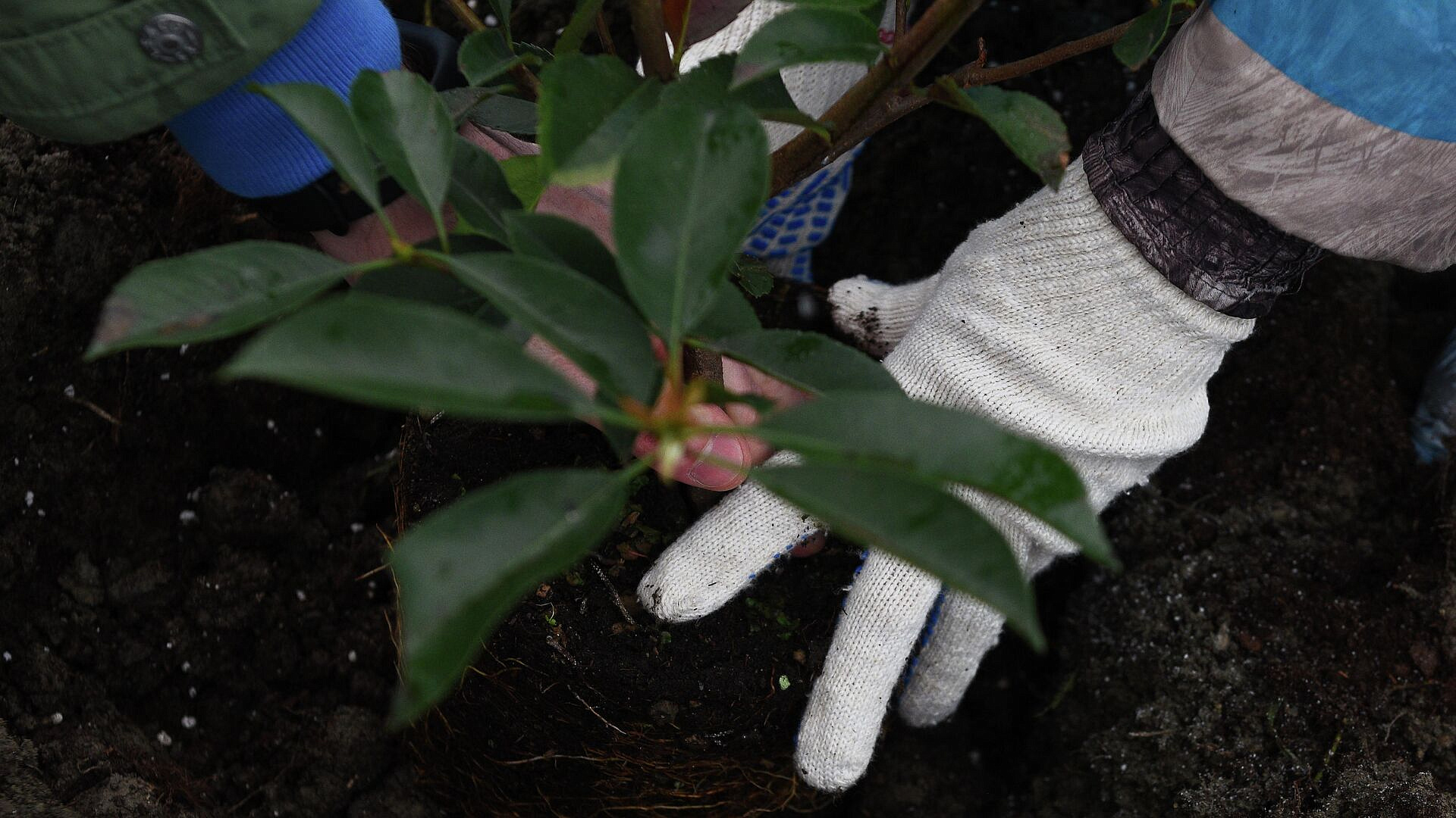 ����� 400 �������� �������� � ���������� ������ � 2025 ����