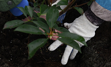 ����� 400 �������� �������� � ���������� ������ � 2025 ����