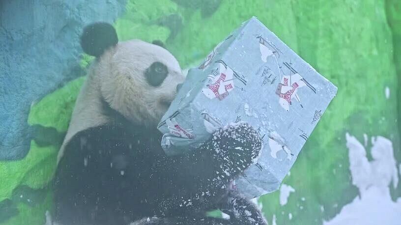 ����� ������ �������� ����� �� �������