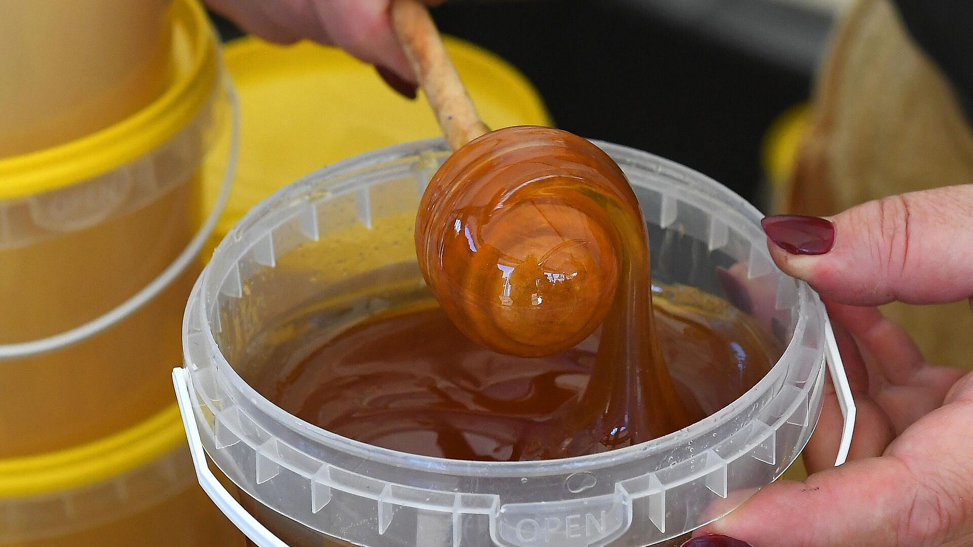 ��������������� ������ ��������, ������� ����� �������� ����� � �������