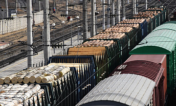 Южная Корея снизила закупки необработанной древесины у России