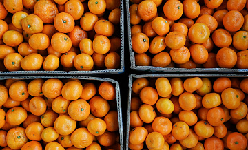 Россия за девять месяцев купила у Турции рекордное количество цитрусовых