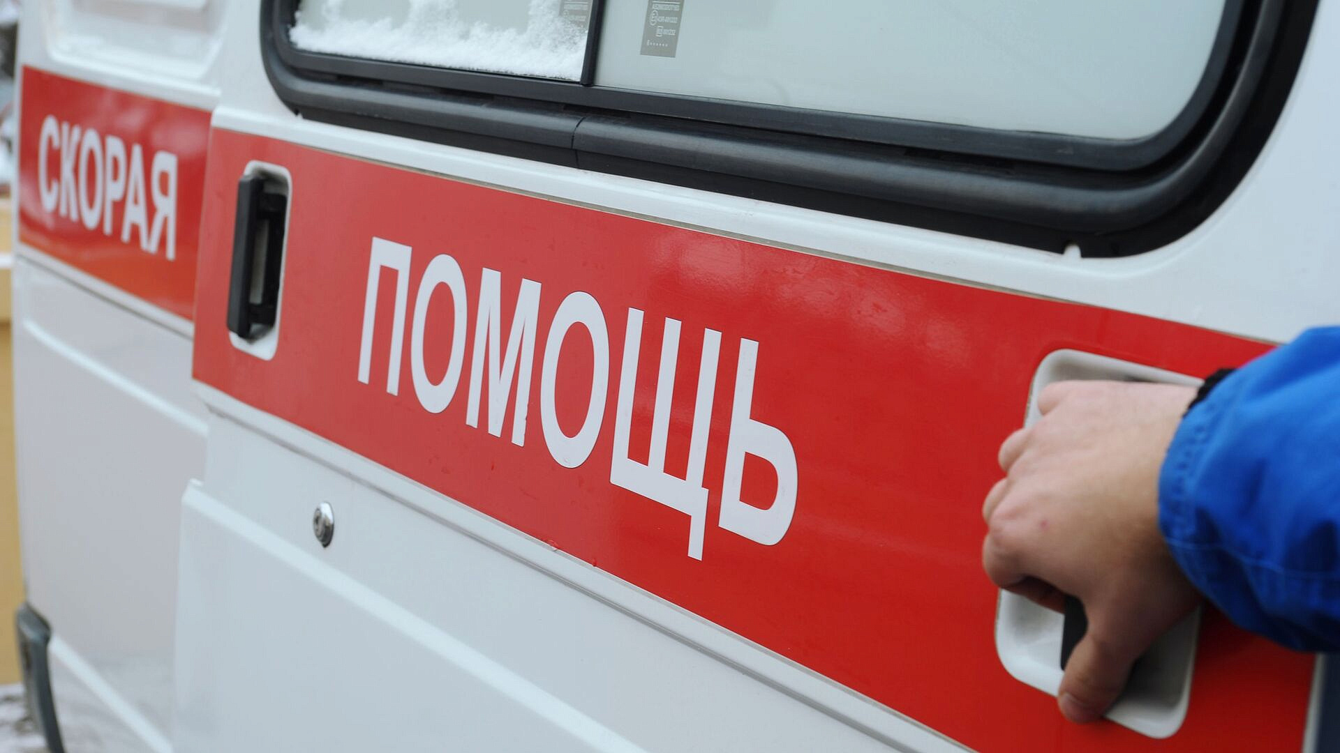 В Новгородской области водитель Lada Granta погиб, наехав на лося