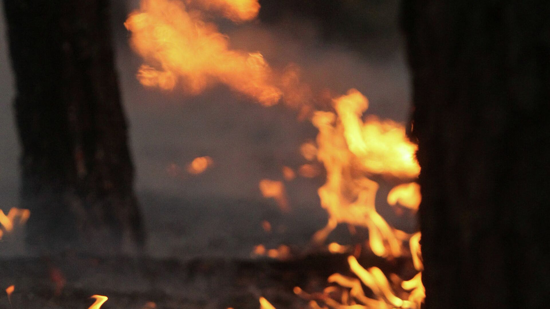 � ������� �� ����� �������� ����� ���� ����� ������ ������ �������