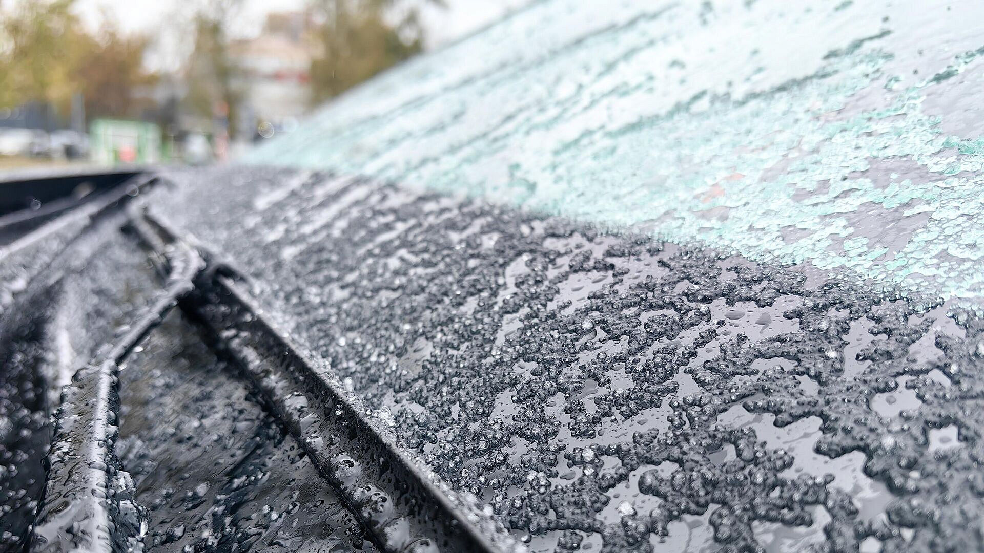 Новый циклон придет в Москву в субботу, заявил Вильфанд