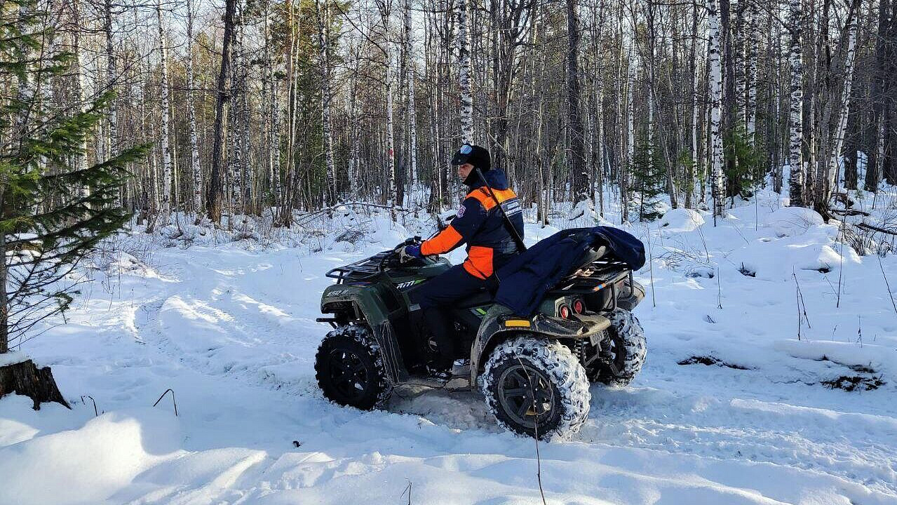 Кинолог рассказал, можно ли найти следы на месте поисков Усольцевых