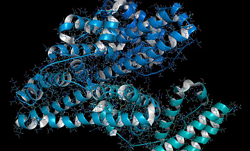 Ученые нашли способ автоматической оценки качества белков