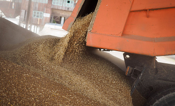 В ЕС заявили, что ограничения на импорт зерна из России не повлияют на цены