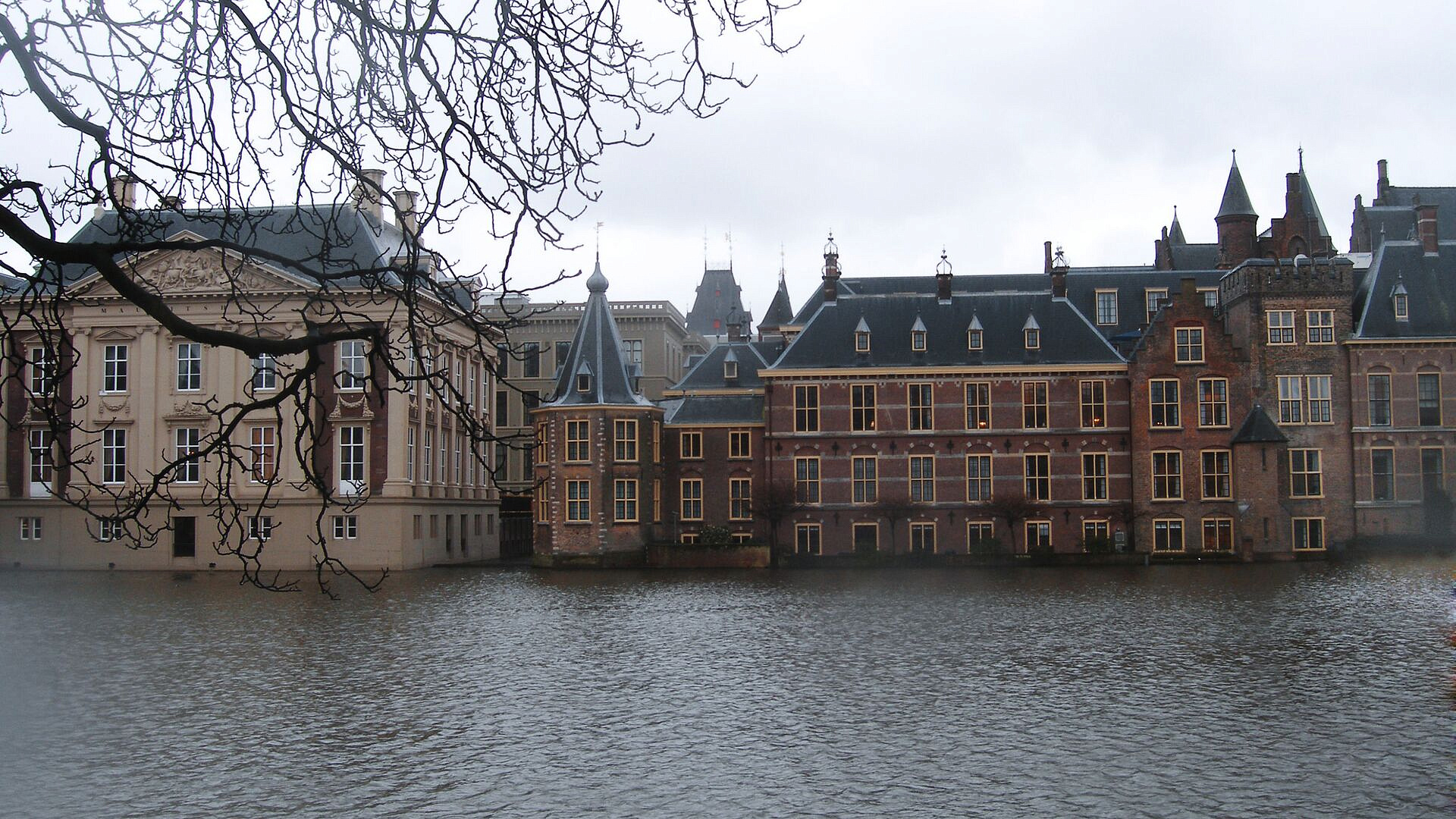 В Гааге отказались переименовывать улицу в честь Навального