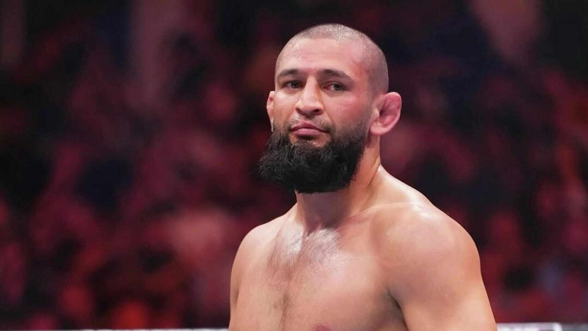 Чимаев проведет первую защиту титула UFC в среднем весе 9 мая