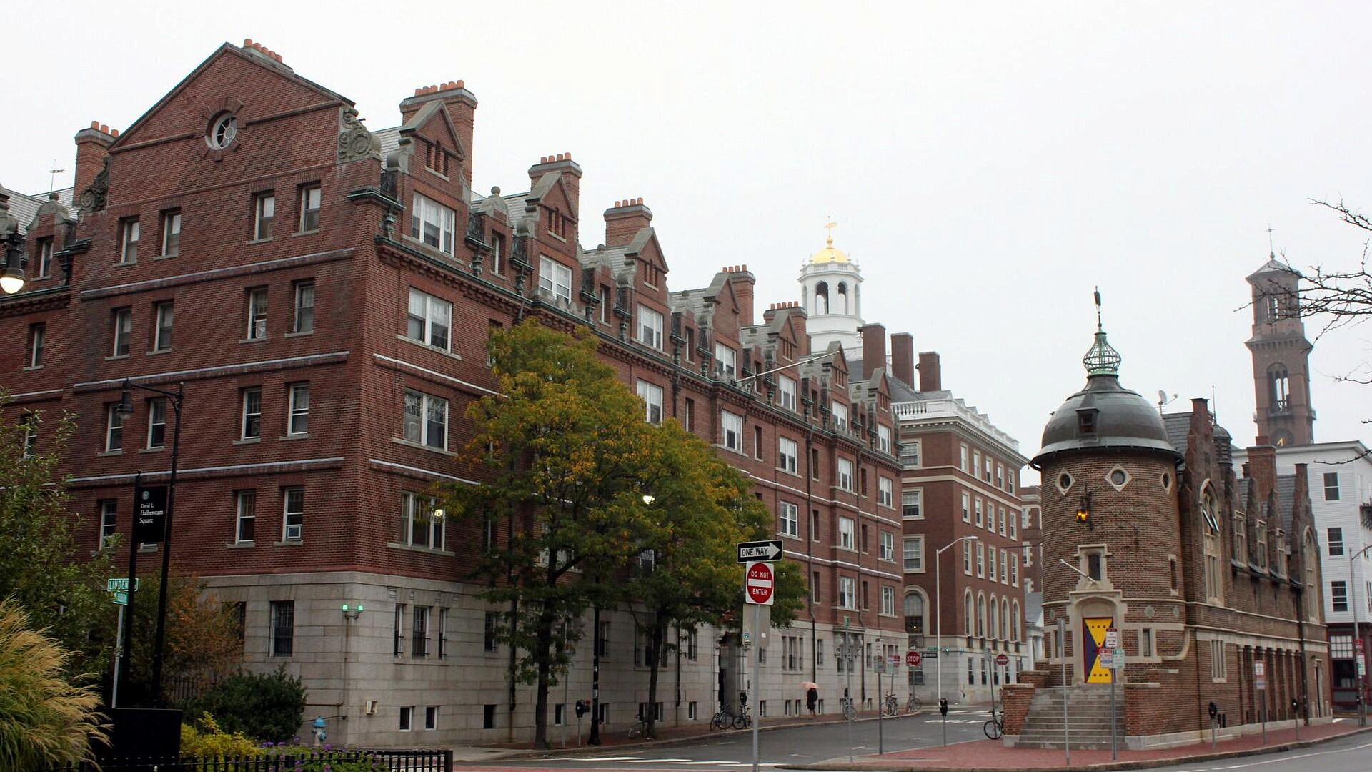 Гарварду придется ответить в суде по обвинениям в краже тел доноров