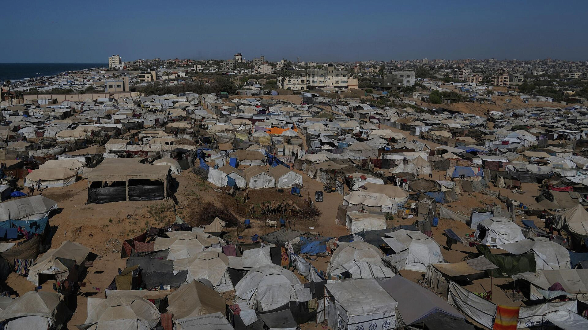 Посол России и представитель "Совета мира" обсудили ситуацию в Газе