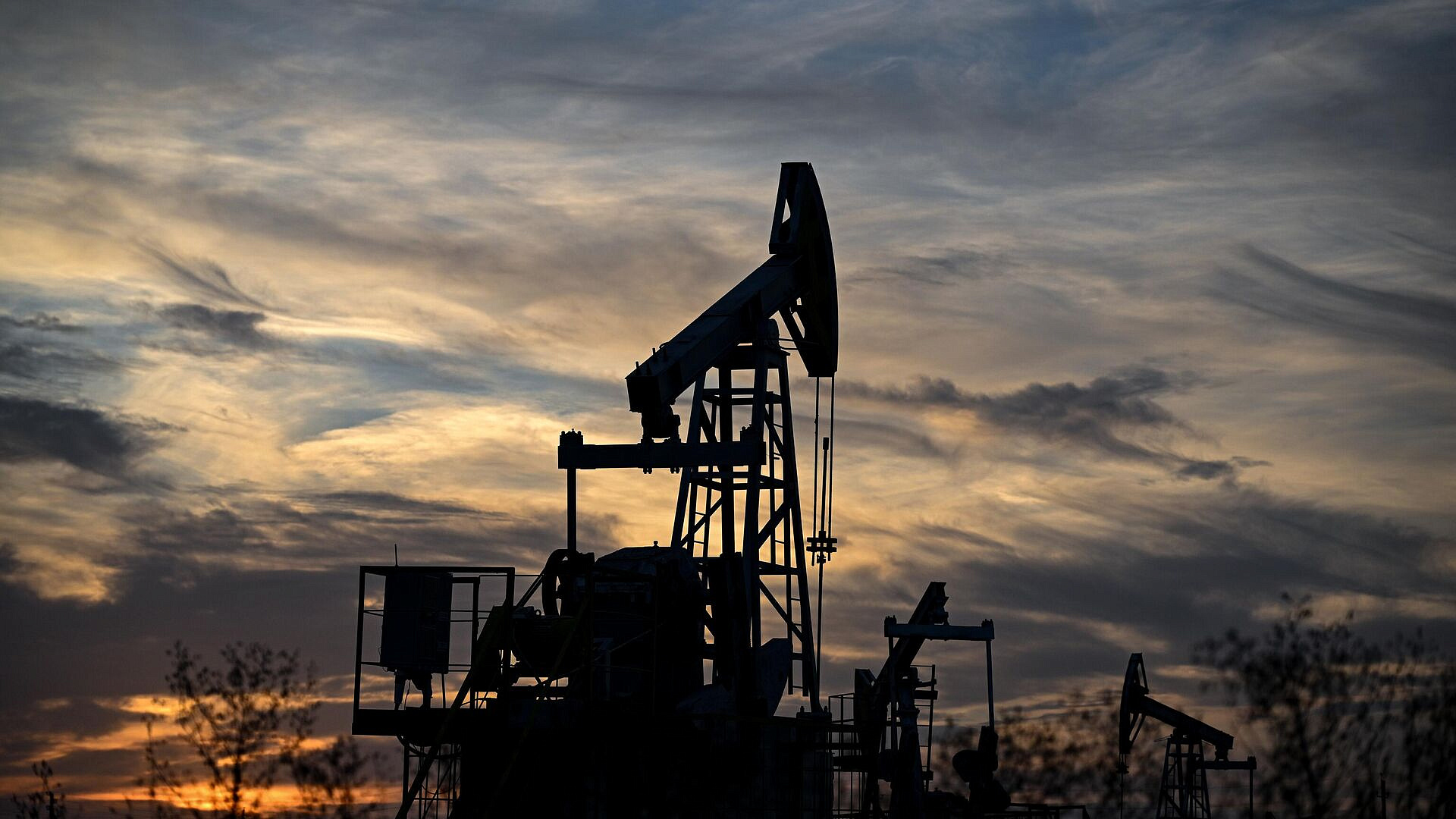 ����� ������ � �������� ���� ����� � ���� � ������������������