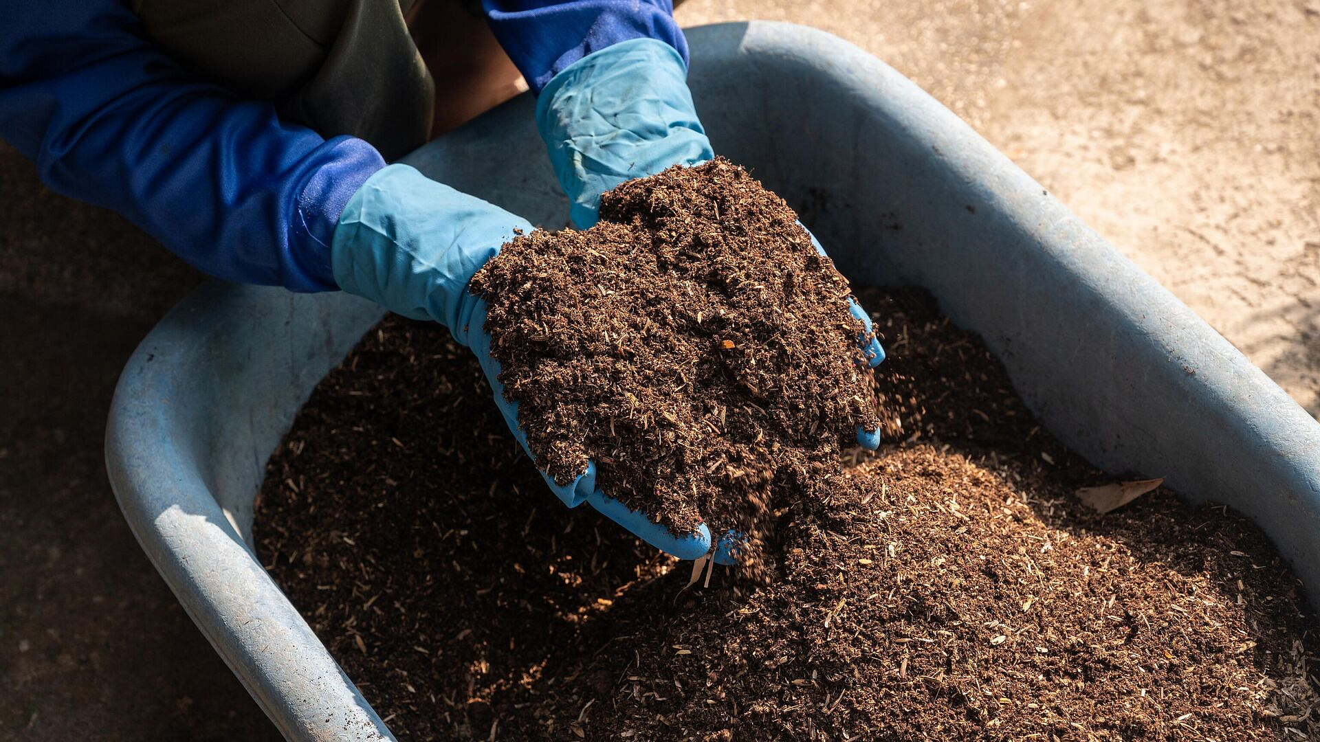 Индия увеличила импорт российских удобрений до исторического максимума