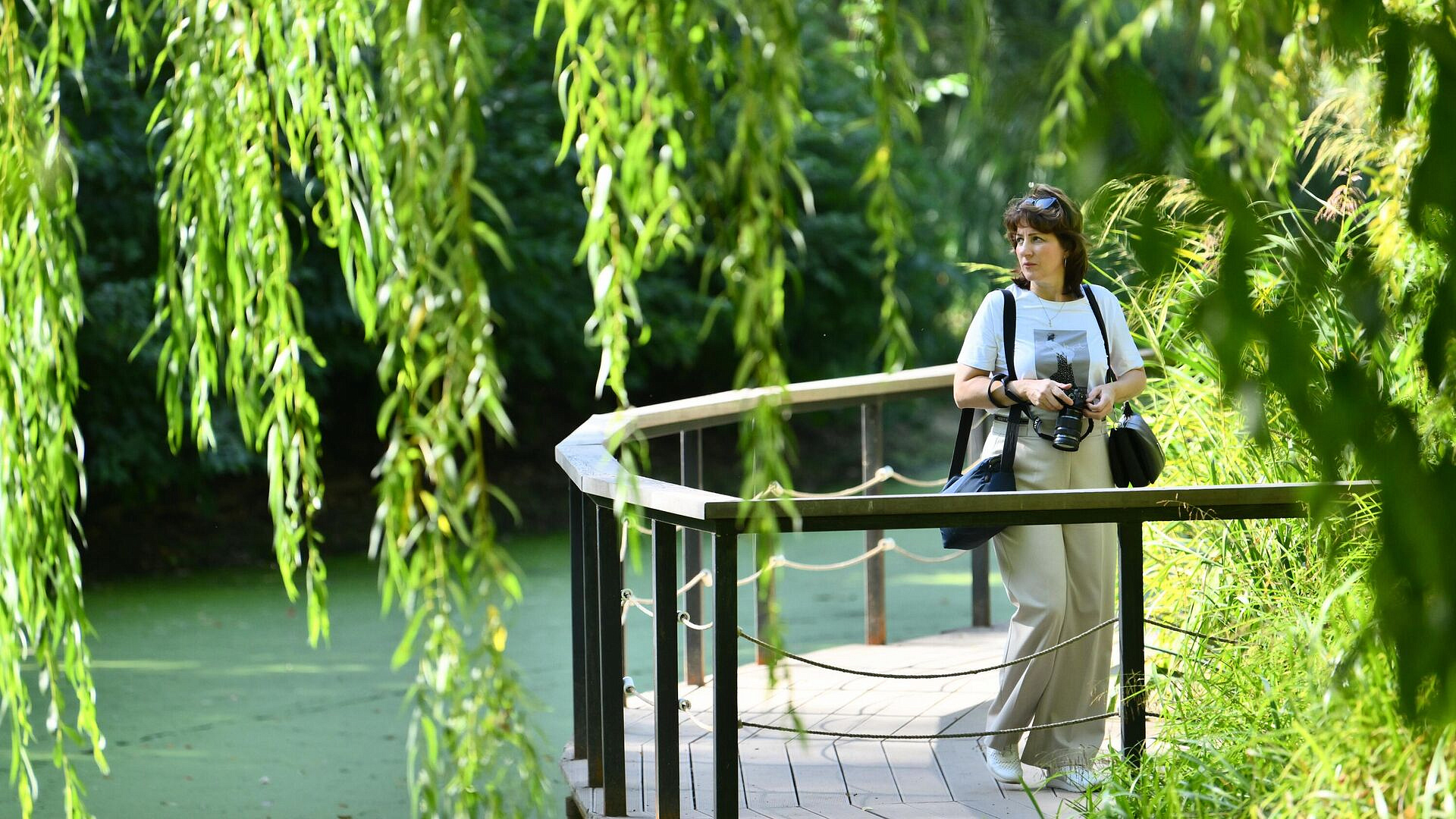 � ����������� ������� �������� "�������� ������"