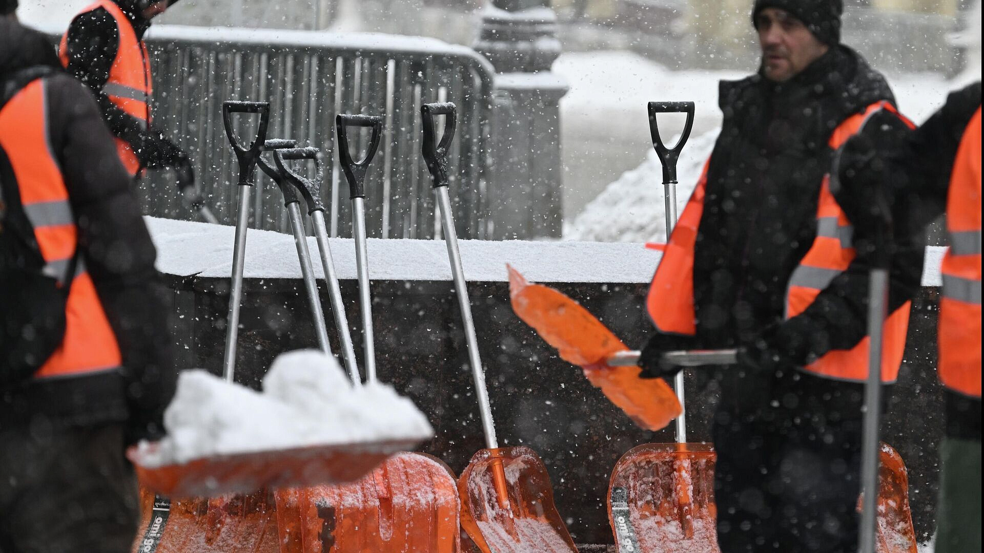 � ������ ������������ � ��������� ��������� ��������� ��������� ����������