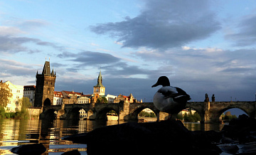 Самым богатым чехом стал бизнесмен в энергетике