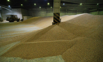 Россия увеличила экспорт продовольствия и сельскохозяйственного сырья